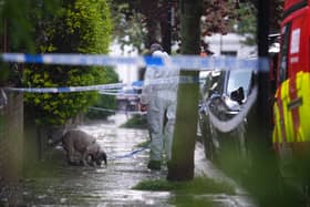 A forensics officer with a dog is seen in Kentish Town, north London. Police are investigating a fire at Sir Keir Starmer's house in north London. Picture: James Manning/PA Wire