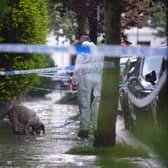 A forensics officer with a dog is seen in Kentish Town, north London. Police are investigating a fire at Sir Keir Starmer's house in north London. Picture: James Manning/PA Wire