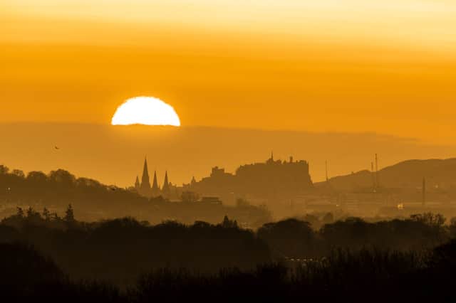 Rising early to hear the dawn chorus in full song is definitely worth it (Picture: Jane Barlow)