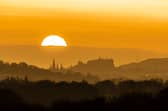 Rising early to hear the dawn chorus in full song is definitely worth it (Picture: Jane Barlow)