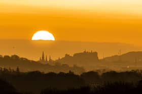 Rising early to hear the dawn chorus in full song is definitely worth it (Picture: Jane Barlow)