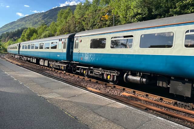 A passenger said the blue carriages were "not the Harry Potter coaches we were expecting"