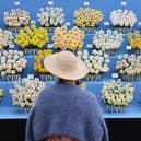 A visitor looks at a floral display during the preview day at the RHS Chelsea Flower show in London on May 19, 2025.