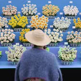 A visitor looks at a floral display during the preview day at the RHS Chelsea Flower show in London on May 19, 2025.