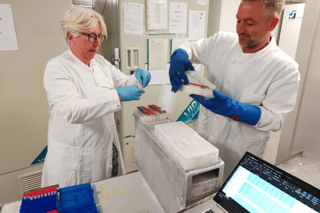 Dr Shona Kerr and Professor Jim Flett Wilson picking plasma as part of their research for the Viking project. Picture: University of Edinburgh