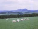 Scotland's estates are responsible for significant social, economic and environmental benefits (Picture: CM Dixon/Heritage Images)