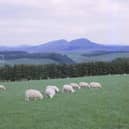 Scotland's estates are responsible for significant social, economic and environmental benefits (Picture: CM Dixon/Heritage Images)