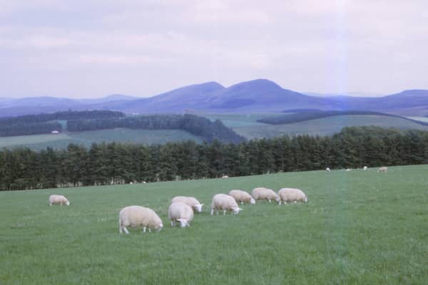 Scotland's estates are responsible for significant social, economic and environmental benefits (Picture: CM Dixon/Heritage Images)