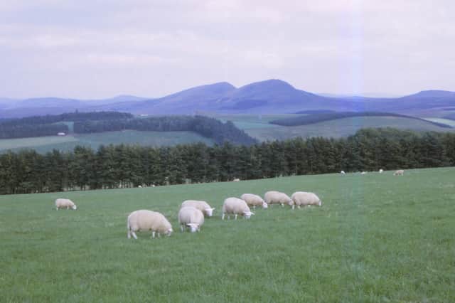 Scotland's estates are responsible for significant social, economic and environmental benefits (Picture: CM Dixon/Heritage Images)