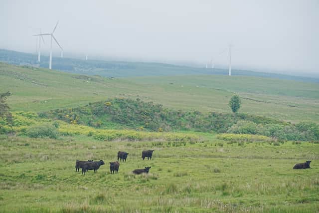 Dumfries and Galloway has been named as some of the hotspots for more wind farm developments in the energy sector