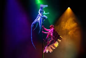 The Unlikely Friendship of Feather Boy and Tentacle Girl was due to be performed this week.