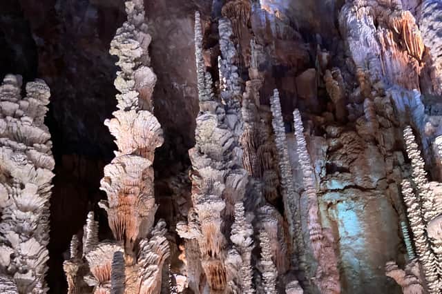 The stalagmite forest in Aven Armand