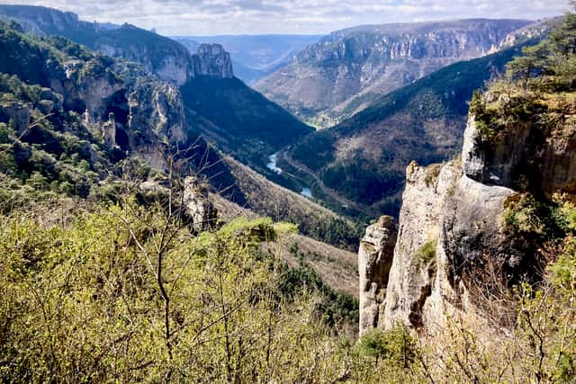 Hiking trail near La Bourgarie in the Cévennes