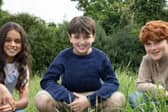 The new Harry, Hermione and Ron.
