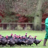 Buying free-range food is one way that we, as consumers, can make a real difference (Picture: Matt Cardy)