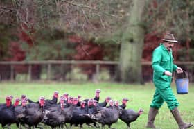Buying free-range food is one way that we, as consumers, can make a real difference (Picture: Matt Cardy)
