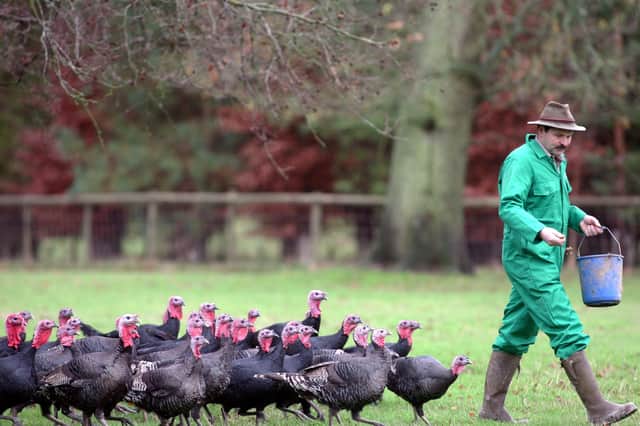 Buying free-range food is one way that we, as consumers, can make a real difference (Picture: Matt Cardy)