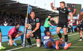 Glasgow Warriors' Henco Venter celebrates scoring his side's third try against the Stormers.