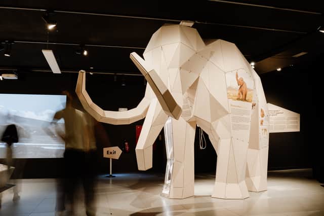 This life-sized 3D model of a mammoth is to feature in the new Giants exhibition.