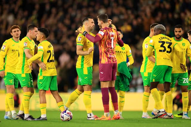 Angus Gunn has struggled with injury this season.