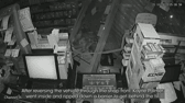 Serial thief ram-raided shop during burglary spree