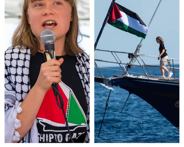 Greta Thunberg, who was on board the Freedom Flotilla Coalition, has been detained.