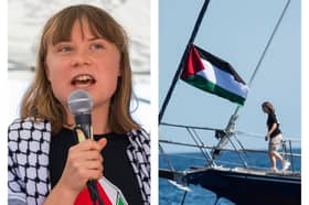Greta Thunberg, who was on board the Freedom Flotilla Coalition, has been detained.