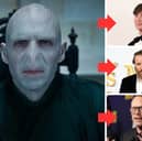 Who will be the new Voldermort?