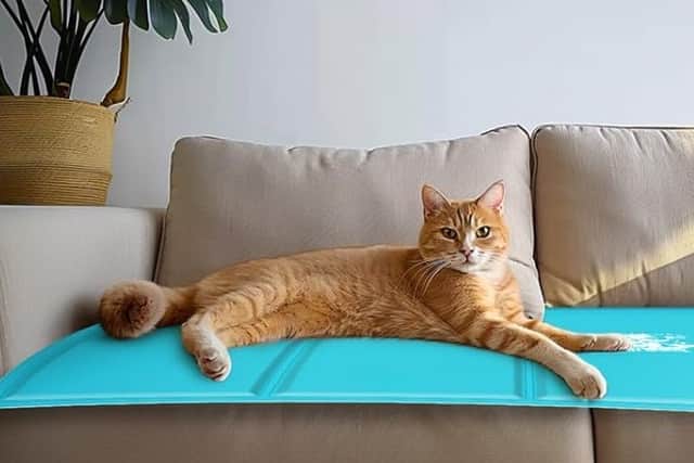 The mats are ideal for all pets
