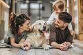 Some breeds of dog make perfect family pets.