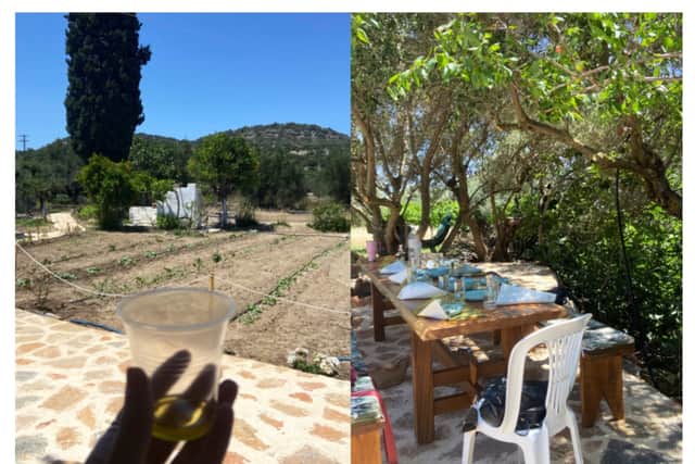 Olive oil tasting experience in Crete. (Photo: Isabella Boneham)