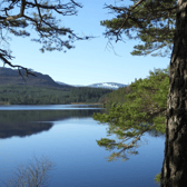 Loch Farr in Strathnairn, to the south of Inverness. The area has long attracted visitors from overseas trying to trace their family history given its links to Clan Mackintosh, the Forbes name and Culloden.