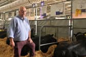 Gordon McConachie, who was showing Aberdeen Angus and Highland Cattle at the Royal Highland Show 