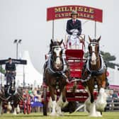 The heavy horse turnout pairs in the main ring on Saturday at the Royal Highland Showground in Edinburgh.