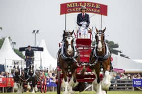 The heavy horse turnout pairs in the main ring on Saturday at the Royal Highland Showground in Edinburgh.