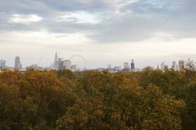 View from the View lounge