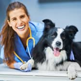 The odds of you having to visit a vet vary depending on the breed of dog you choose.