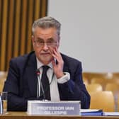 Professor Iain Gillespie, former principal and vice-chancellor of Dundee University, at Holyrood's education committee.