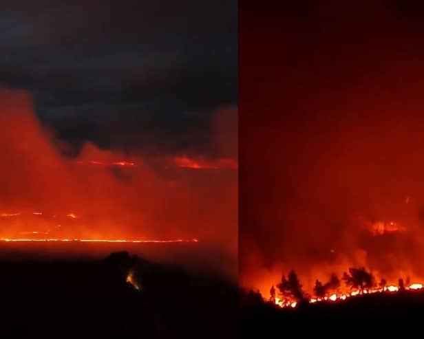  A wildfire near Dava in the Scottish Highlands on the morning of June 29.