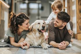 Looking for a dog to complete your family?