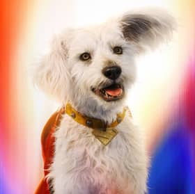 Krypto
