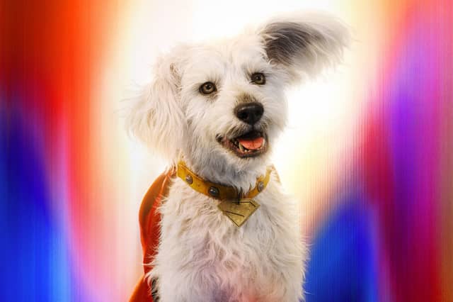 Krypto