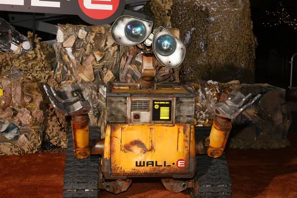 In the film Wall-E, the robot is left behind on a rubbish-filled Earth to clear things up (Picture: Alberto E. Rodriguez)