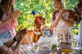 How many birthdays your dog celebrates is partly dependent on its breed.