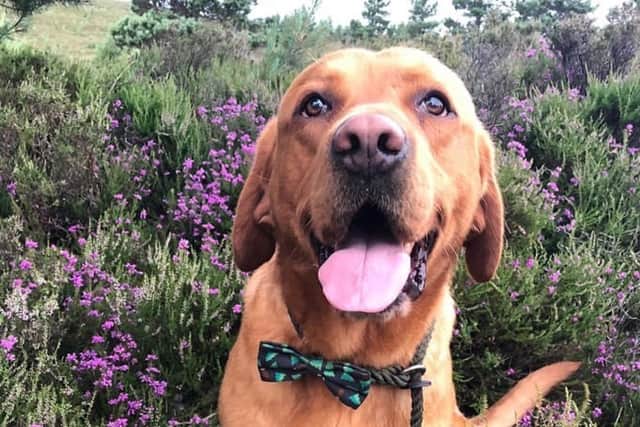 Clyde, Clover's dad, was eight when he died after contracting Louping Ill