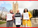 Maya Forstater, of Sex Matters, right, with other gender critical campaigners outside the Houses of Parliament (Picture: James Manning)