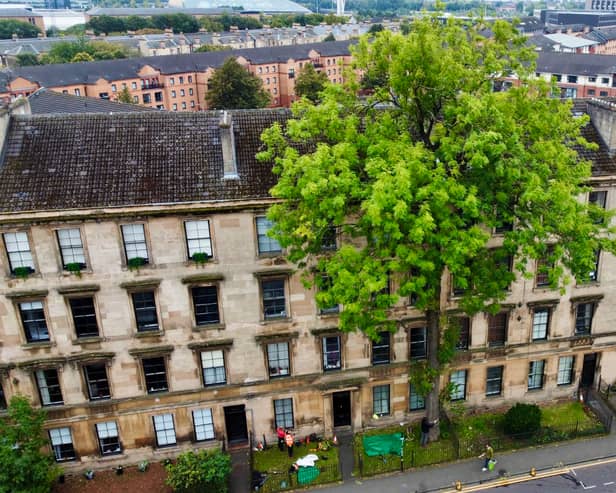 The Argyle Street Ash