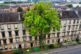 The Argyle Street Ash