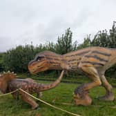 Animatronic dinosaurs at Glasgow's Lost Kingdom
