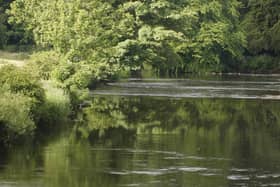 The incident took place at the River Kelvin in Glasgow. Picture: PA